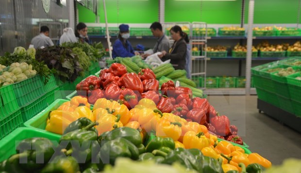 Vietnam ve reducidas sus exportaciones de frutas y vegetales en enero hinh anh 1