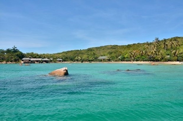 Isla vietnamita Ca Voi entre 10 principales destinos de buceo para 2020 hinh anh 1