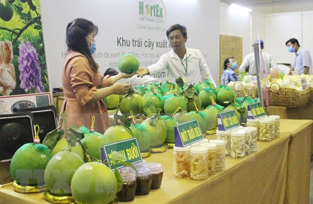 Acoge Vietnam exposicion internacional sobre tecnologia de produccion y procesamiento hortofruticola hinh anh 1