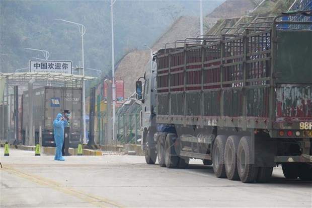 Vietnam y China restauran parte de sus actividades comerciales transfronterizas hinh anh 1
