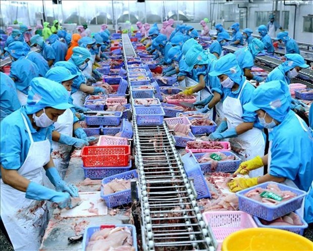 Exportadores de mariscos de Vietnam mantienen la confianza pese a impacto del coronavirus hinh anh 1