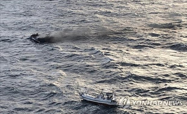 Corea del Sur confirma identidad de marineros vietnamitas desaparecidos en accidente de barco hinh anh 1