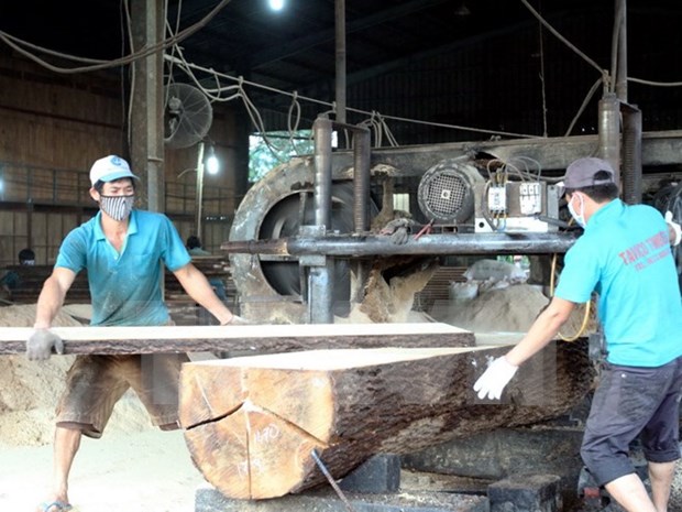 Industria maderera de Vietnam reporta senales positivas en primer bimestre de 2020 hinh anh 1