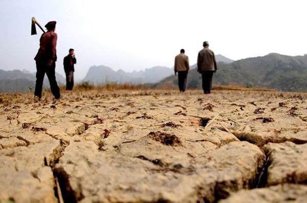 Enfrenta region central de Vietnam alto riesgo de sequia hinh anh 1