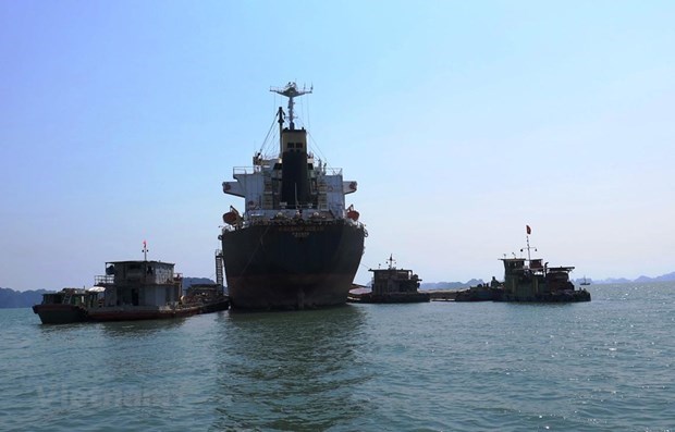 Disminuye atraque de barcos en puertos vietnamitas hinh anh 1