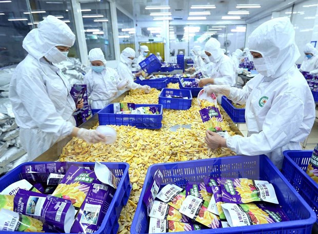 Vietnam cuenta con oportunidades para expandir exportaciones a Suecia hinh anh 1