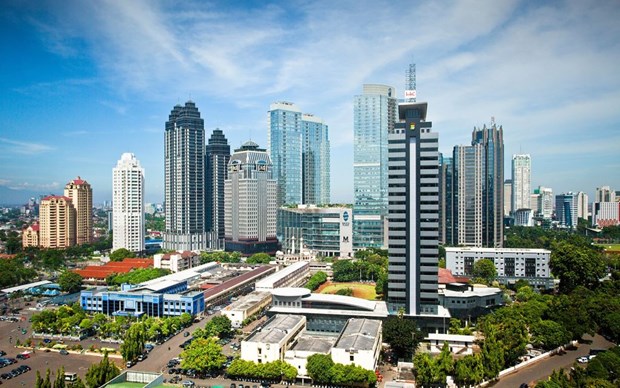 Fitch Solutions ajusta a la baja pronostico de crecimiento de Indonesia hinh anh 1