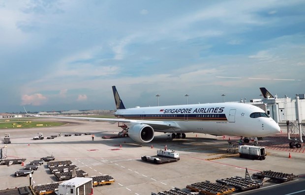 Singapore Airlines reduce su capacidad de vuelo en un 96 por ciento debido al coronavirus hinh anh 1