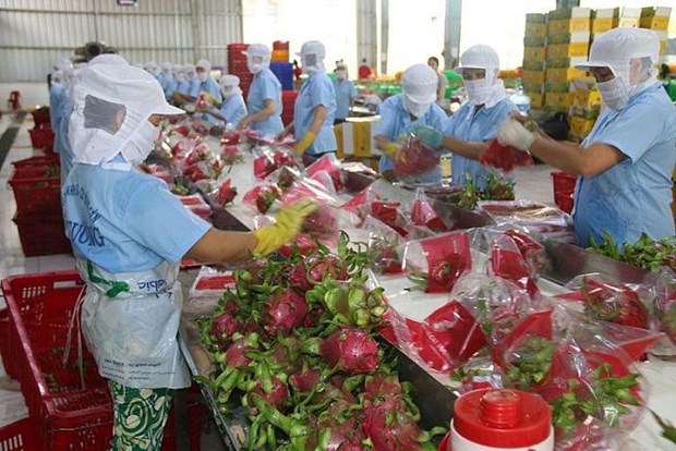 Aumenta superavit comercial de agricultura, silvicultura y acuicultura de Vietnam en primer trimestre hinh anh 1
