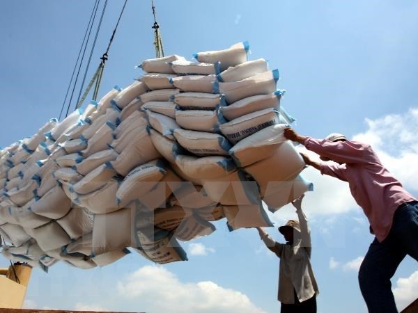 Aumentara Filipinas las importaciones de arroz para asegurar suministro interno hinh anh 1