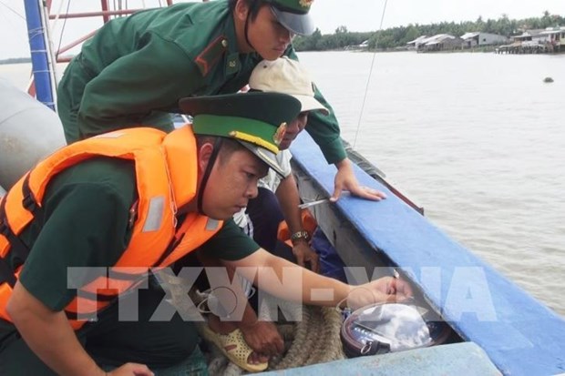 Provincia vietnamita prohibe faena de barcos pesqueros sin equipo de monitoreo hinh anh 1