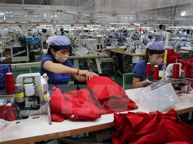 Empresas europeas aplauden medidas de Vietnam de mantener entorno comercial hinh anh 1