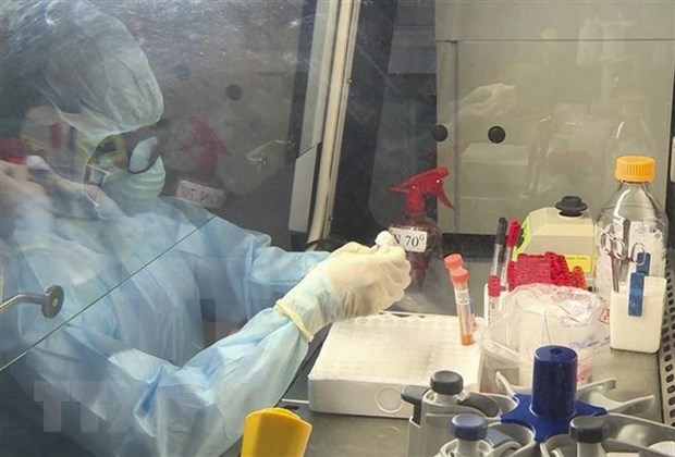 Con dos casos nuevos, Vietnam suma 260 personas infectadas por coronavirus hinh anh 1