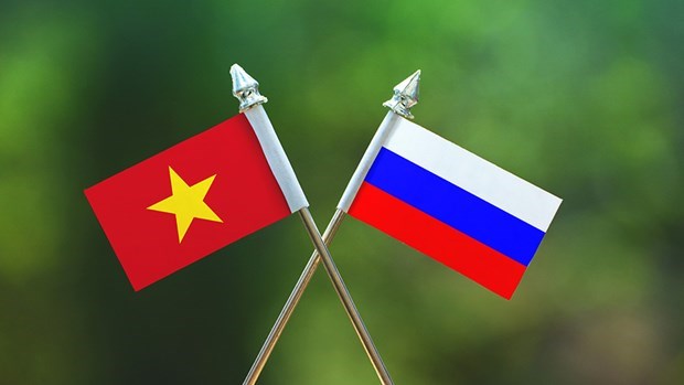 Asamblea Legislativa de San Petersburgo agradece apoyo de comunidad vietnamita ante epidemia hinh anh 1