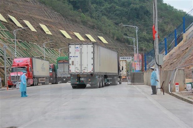 Aclaran informacion sobre suspension de recepcion de bienes en puerta fronteriza vietnamita hinh anh 1