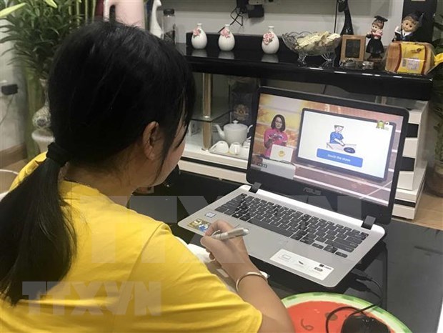 Acceso a internet en Vietnam responde a demandas de pobladores hinh anh 1