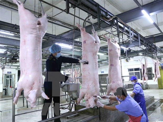 Aumenta Vietnam importacion de carne de cerdo en primer trimestre de 2020 hinh anh 1