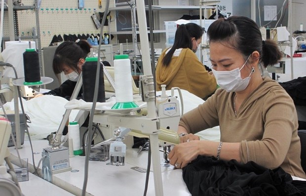 Comparten soluciones para ayudar a empresas vietnamitas a recuperarse en el periodo post-pandemico hinh anh 1