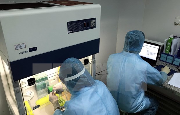 Vietnam puede dominar dos metodos de prueba del virus SARS-CoV-2 hinh anh 1