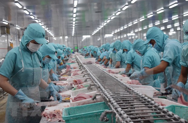 Ventas de productos agroforestales y acuicolas de Vietnam registran caida en abril hinh anh 1
