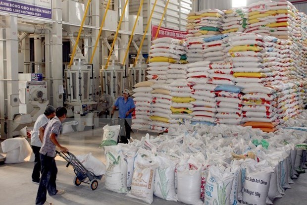 Ministerio de Industria y Comercio de Vietnam propone eliminar cuota de exportacion de arroz hinh anh 1