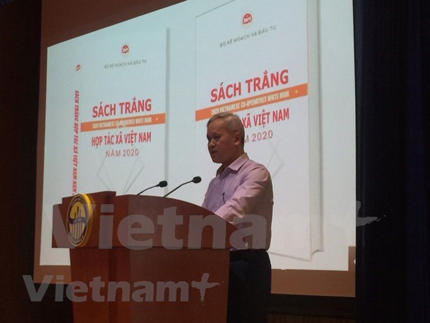 Publican primer libro blanco sobre empresas vietnamitas hinh anh 1