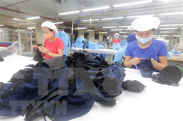 Vietnam exporta casi 416 millones de mascarillas para ayudar a otros paises a combatir COVID-19 hinh anh 1