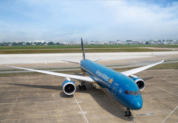 Vietnam Airlines lanza ofertas especiales para vuelos domesticos hinh anh 1
