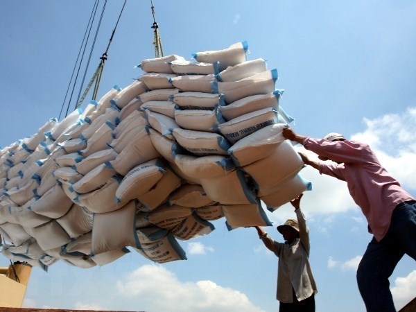 Ministerio de Finanzas de Vietnam selecciona a licitantes para suministro de reserva de arroz hinh anh 1