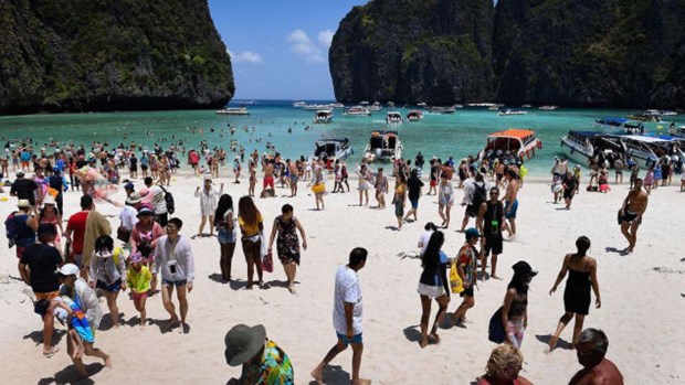 Tailandia prohibe la entrada de barcos a la Bahia Maya hinh anh 1