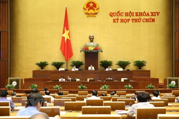 Diputados centraran sus debates en enmiendas de leyes hinh anh 1