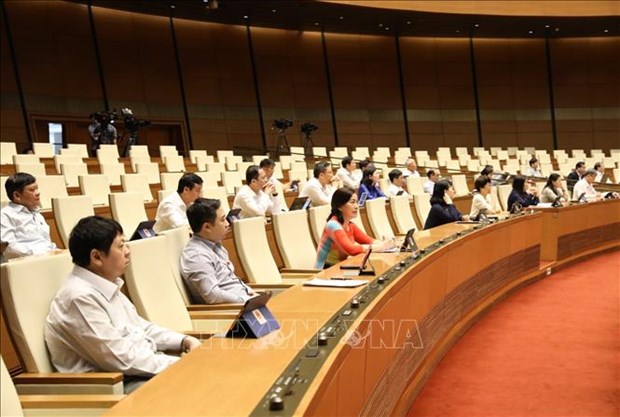 Diputados vietnamitas proponen reforzar la proteccion infantil hinh anh 1