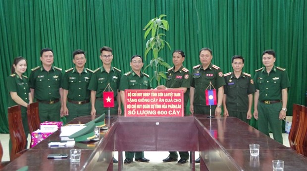 Provincia vietnamita entrega plantulas frutales a Laos hinh anh 1