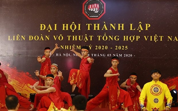 Celebran Congreso de la Federacion de Artes Marciales Mixtas de Vietnam hinh anh 1