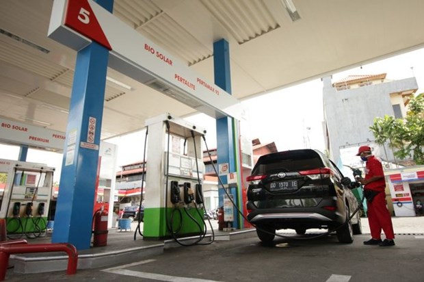 Indonesia apunta a declararse libre de las importaciones de petroleo a partir de 2026 hinh anh 1