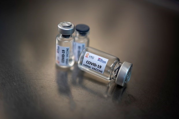 Tailandia realiza en macacos pruebas de vacuna ARNm contra el COVID-19 hinh anh 1