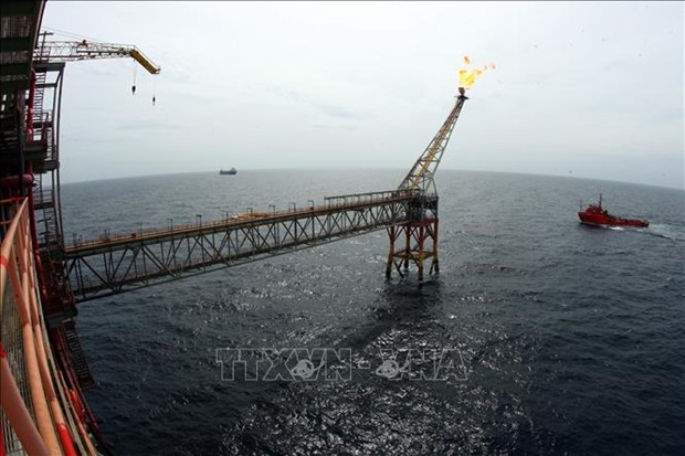 Empresa petrolera de Vietnam totaliza nueve millones de toneladas en cinco meses hinh anh 1