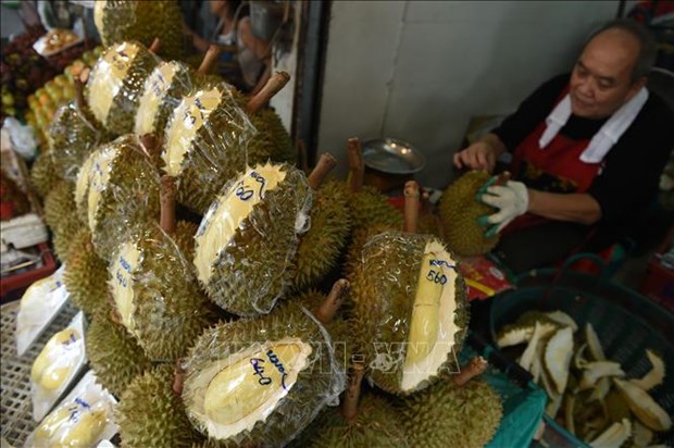 Tailandia desarrolla cajas a prueba de olores para almacenar durian hinh anh 1