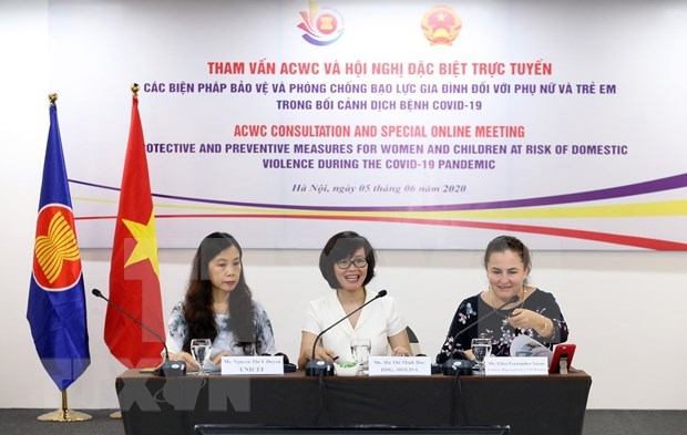 ASEAN analiza medidas de prevencion y lucha contra la violencia familiar en medio del COVID-19 hinh anh 1