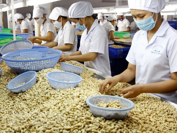 EVFTA ayudara a mejorar cadena de valor de productos agricolas vietnamitas hinh anh 1
