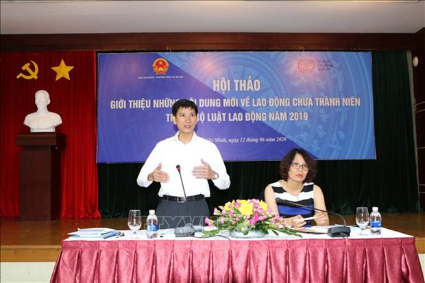 Analizan en Vietnam normas juridicas relacionadas con empleados adolecentes hinh anh 1