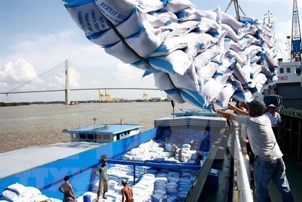 Vietnam gana contrato para exportar 60 mil toneladas de arroz a Filipinas hinh anh 1