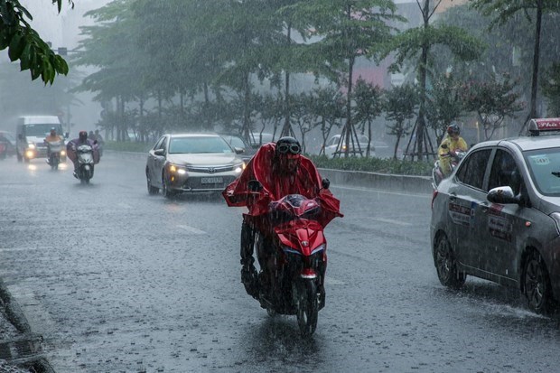 Pronostican intensas lluvias por tifon Nuri en provincias nortenas de Vietnam hinh anh 1