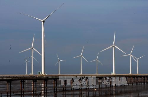Dinamarca ayuda el desarrollo de energia eolica marina de Vietnam hinh anh 1
