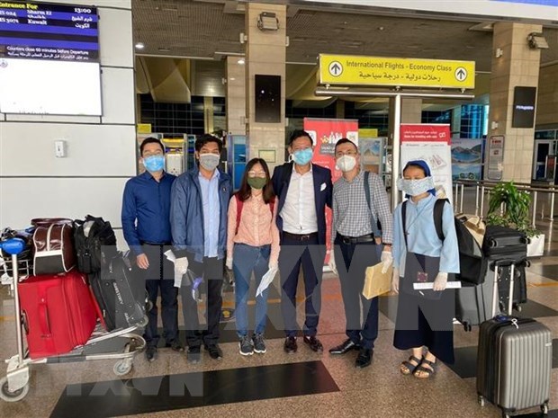 Vietnamitas retornan al pais desde Kuwait, Qatar y Egipto hinh anh 1