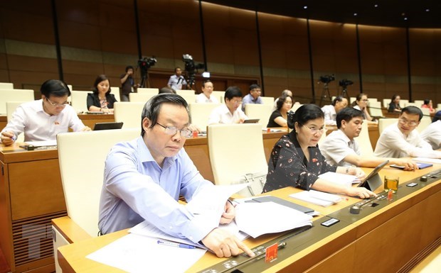 Parlamento de Vietnam aprueba modificaciones a Ley de Juventud hinh anh 1