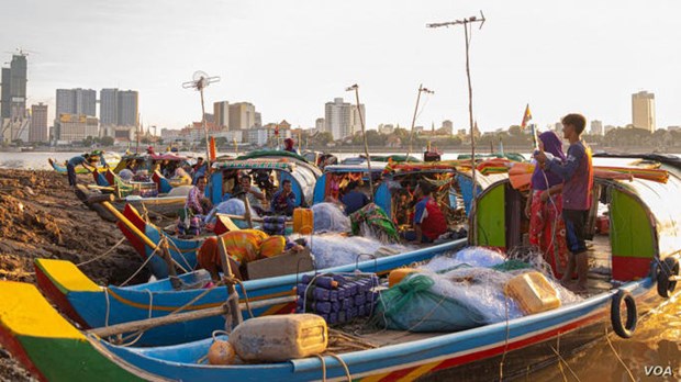 Reduccion del nivel hidrico en Camboya afecta a poblacion de peces hinh anh 1
