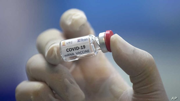 Ensayos de vacuna contra COVID-19 en Tailandia alcanzan etapa decisiva antes de pruebas en humanos hinh anh 1