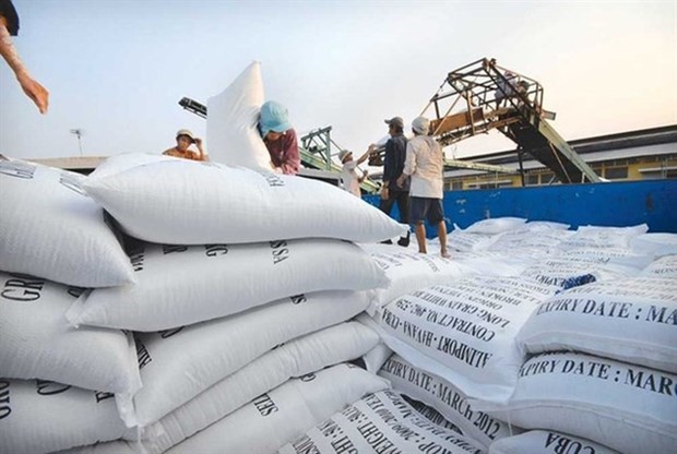 Precios mundiales de exportacion del arroz caen al nivel minimo en dos meses hinh anh 1