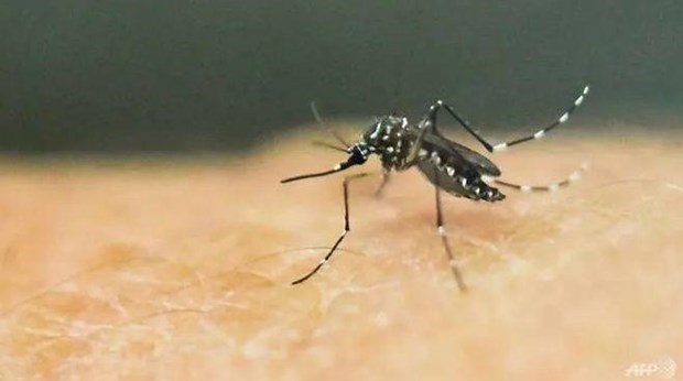 Laos reporta mas de dos mil casos y cinco muertes por dengue hinh anh 1